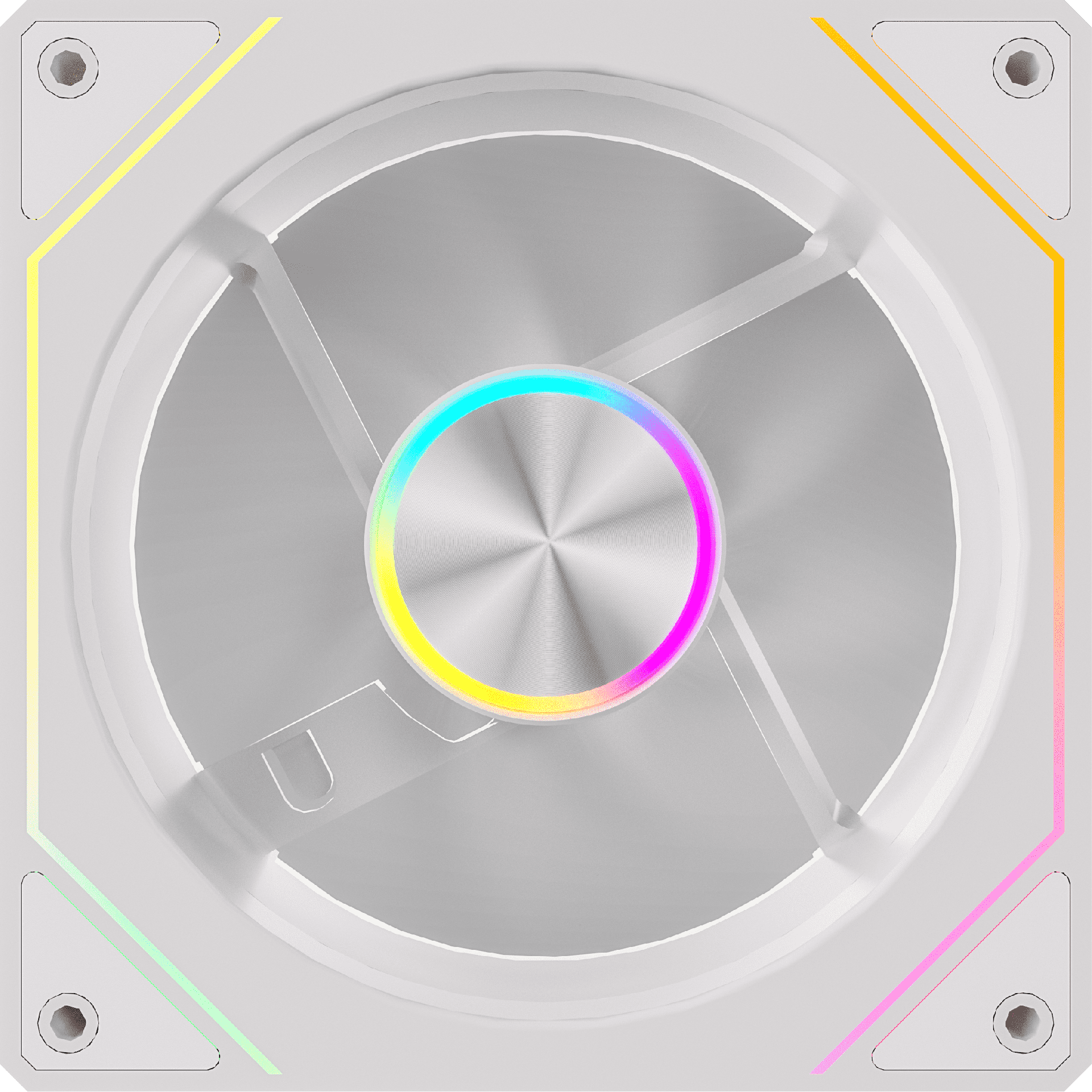 白 (1).png